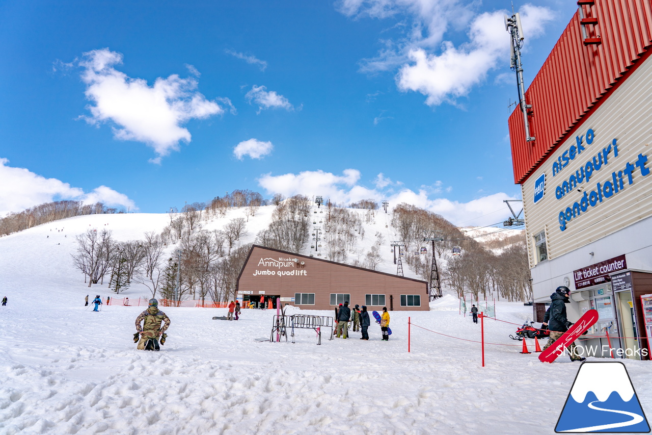 ニセコビレッジ・ニセコアンヌプリ国際スキー場｜さすが『ニセコ』。雪不足や暖気とは無縁？！積雪たっぷりで全面滑走OKです(^^)/